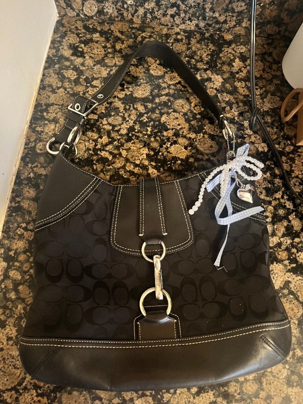 Coach Signature Hampton Hobo